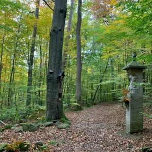 Schöpfungsweg Portal.jpg