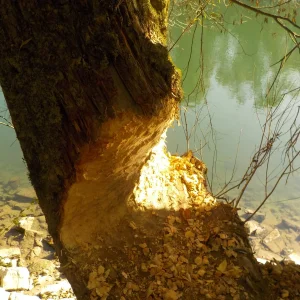 DSCN4792.JPG