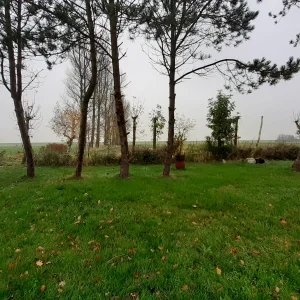 20211113_112328.jpg