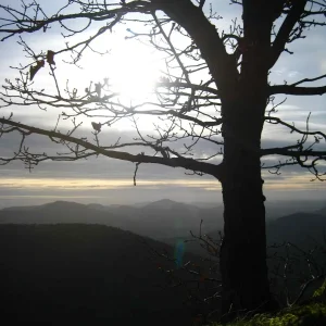IMG_3942.JPG