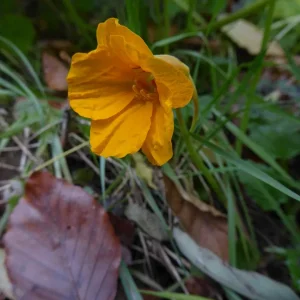 P1050337.JPG