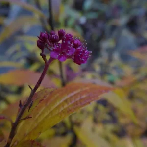 P1050347.JPG