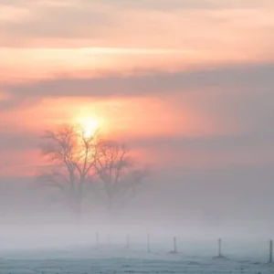 A4981927-049D-4684-BD07-E45B58D22C74.png