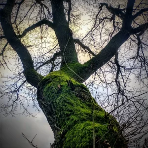 IMG_20211213_091841808_HDR~2.jpg