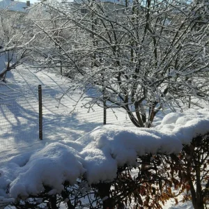 20150202_102624.jpg