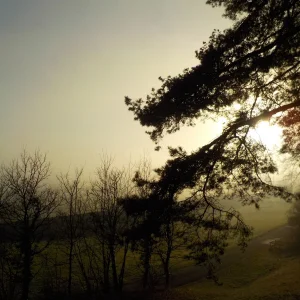 DSCN4852.JPG