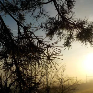 DSCN4856.JPG