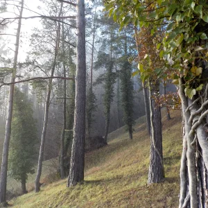 DSCN4851.JPG