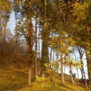 DSCN4848.JPG