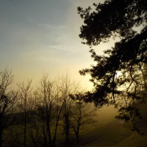 DSCN4855.JPG