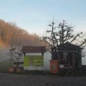 DSCN4863.JPG
