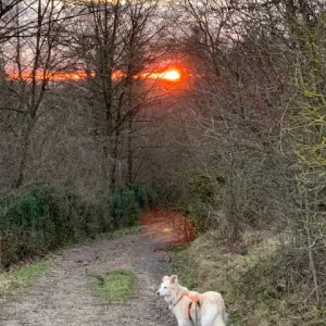 sonnenuntergang Jolie.jpg