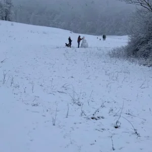 winterwonderland1.jpg