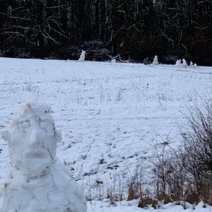 winterwonderland3.jpg