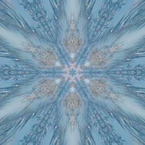 6790_mirror6.jpg