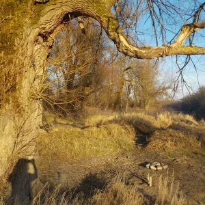 DSCN4887.JPG