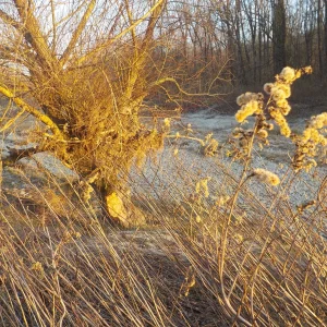 DSCN4908.JPG