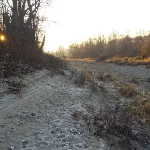 DSCN4912.JPG