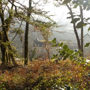 DSCN4920.JPG