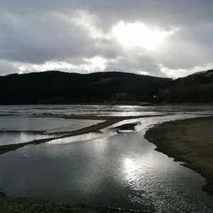 IMG-20220123-WA0001 (2).jpg