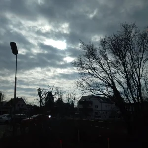IMG_20220204_111146.jpg