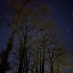 E010404B-AA6C-4481-A01F-63C533D96A2C.jpeg