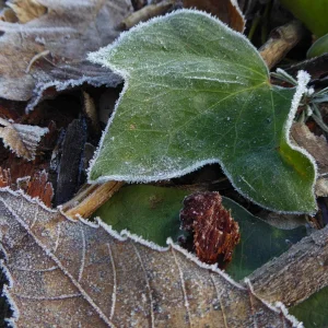 P1050420.jpg