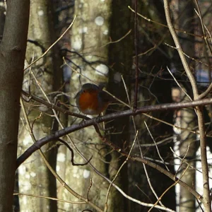 P1050430.JPG