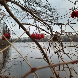 20220116_154256.jpg