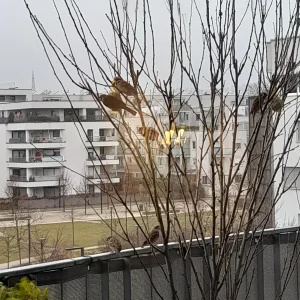 20220221_102851.jpg