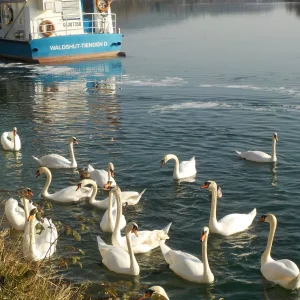 DSCN4986.JPG