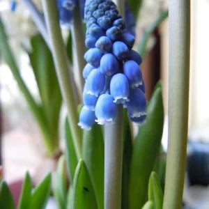 DSCN0711.JPG