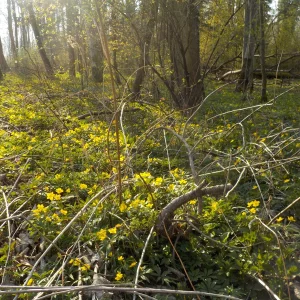 DSCN4997.JPG