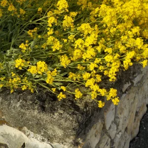 DSCN5048.JPG