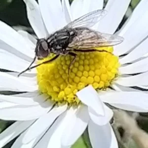 Screenshot_20220411-142525_Gallery.jpg