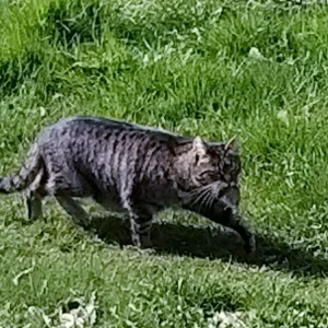 20220411_143001.jpg
