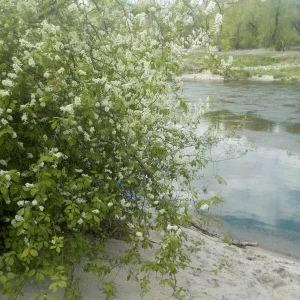DSCN5062.JPG