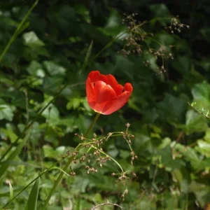 P1050615.jpg