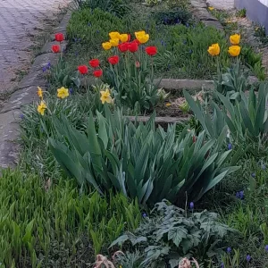 20220414_111519.jpg