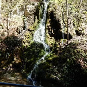 DSCN3128.JPG