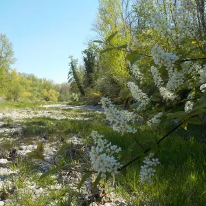 DSCN5078.JPG