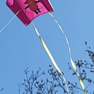 20220425_001306.jpg