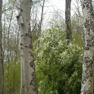 DSCN5055.JPG