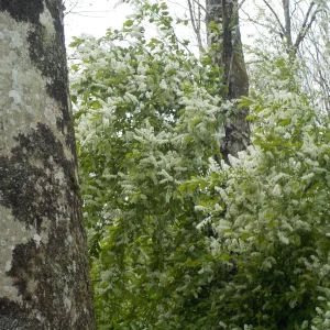 DSCN5056.JPG