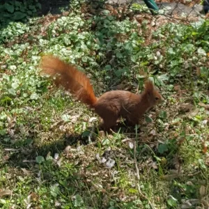 20190415_142401.jpg