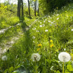DSCN5098.JPG