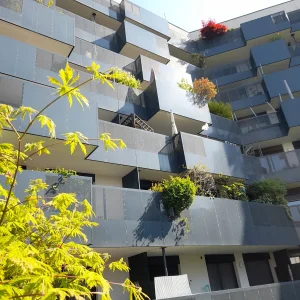 20220429_101046.jpg