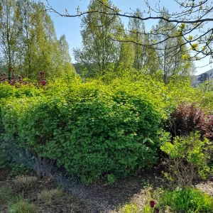 20220429_101957.jpg