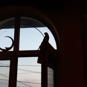 20220429_191612.jpg