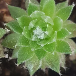 20220503_094741.jpg